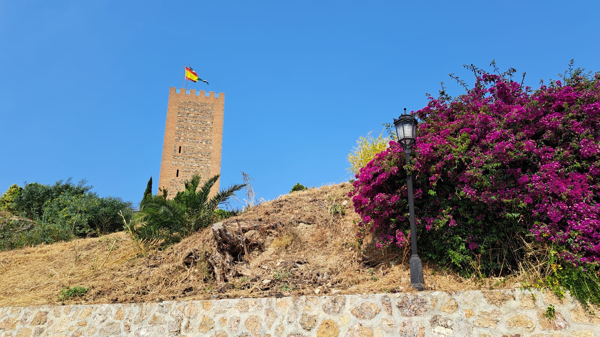 Woensdag 4 juni 2025