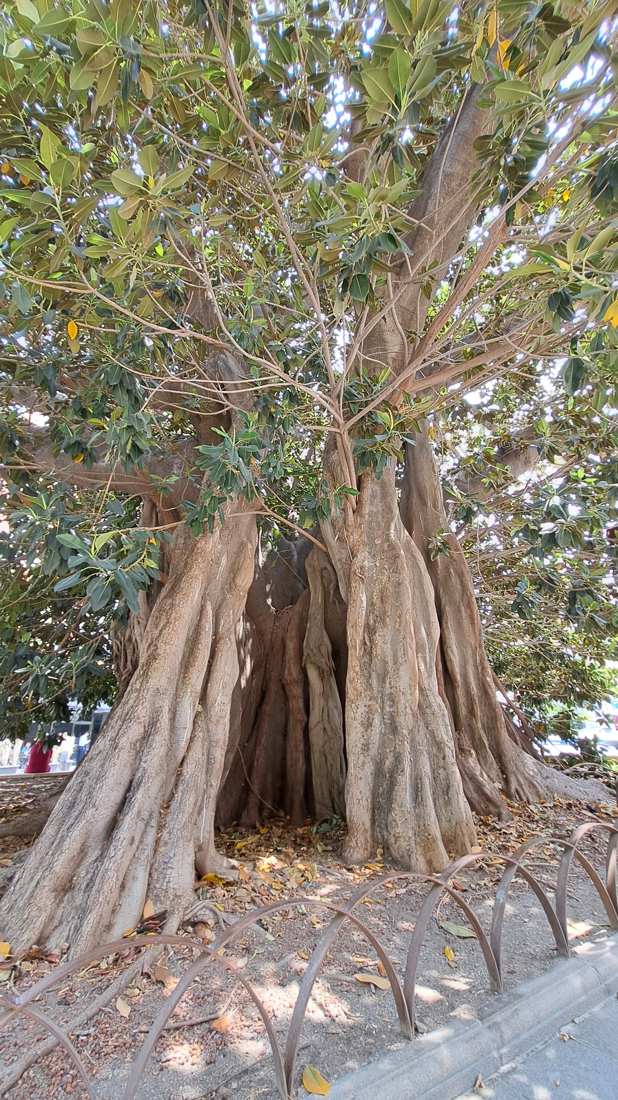 Woensdag 4 juni 2025