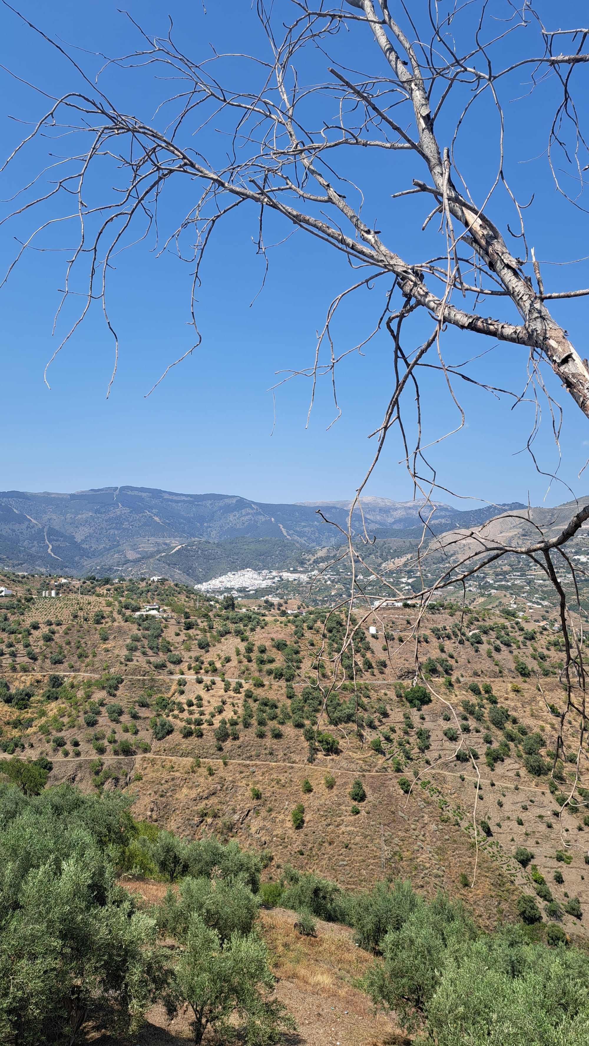 Woensdag 4 juni 2025