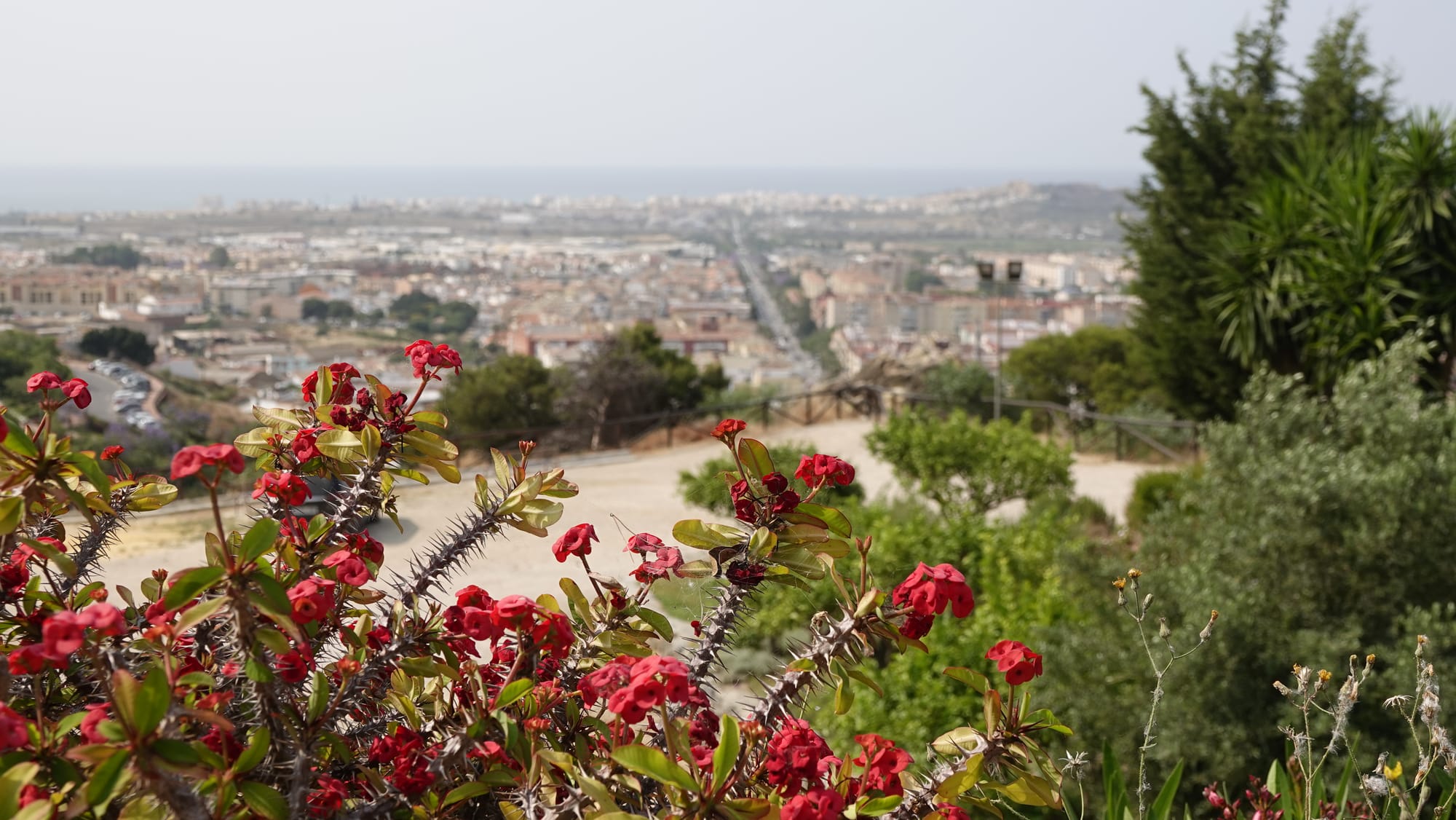 Woensdag 4 juni 2025