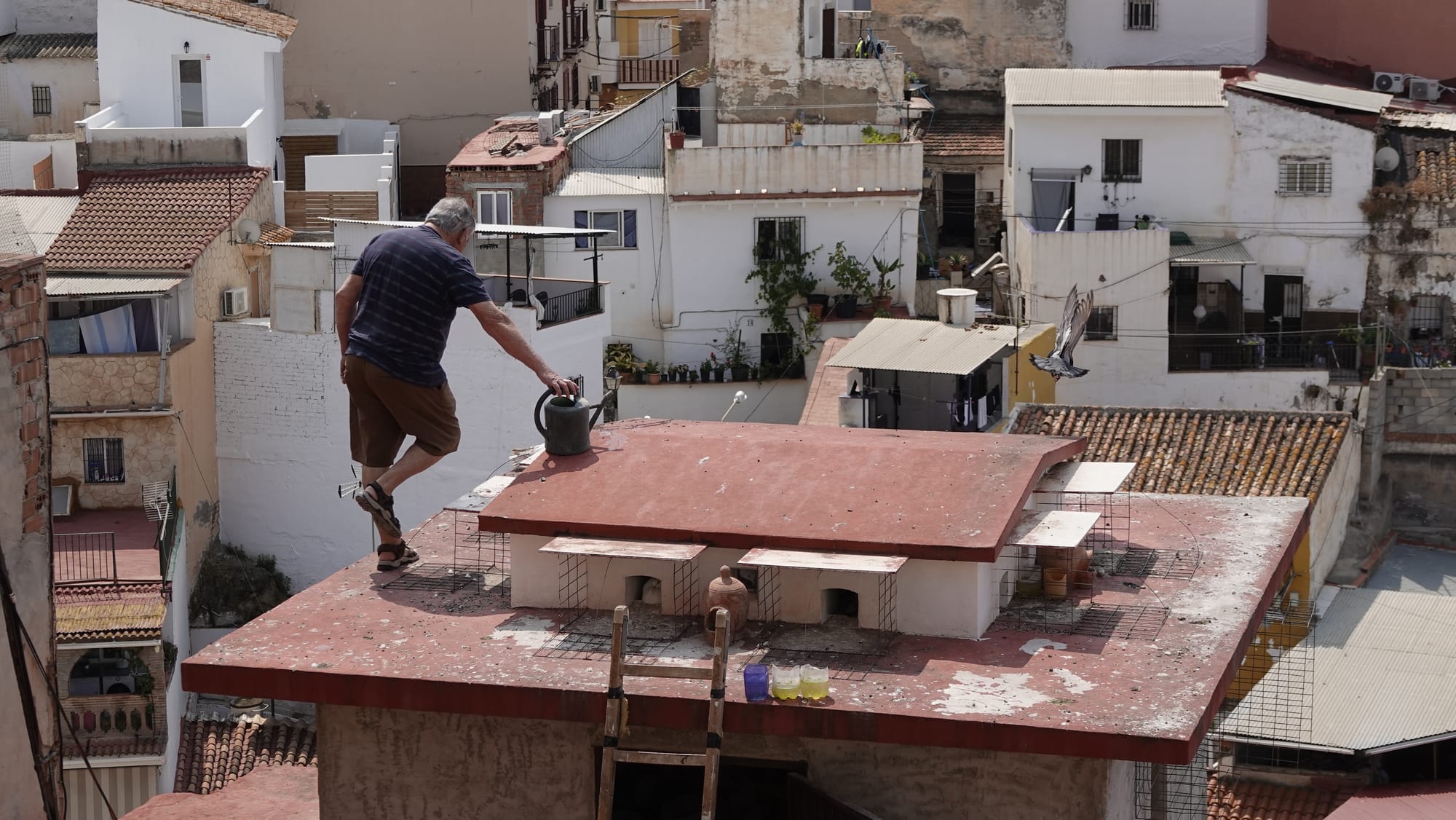 Woensdag 4 juni 2025