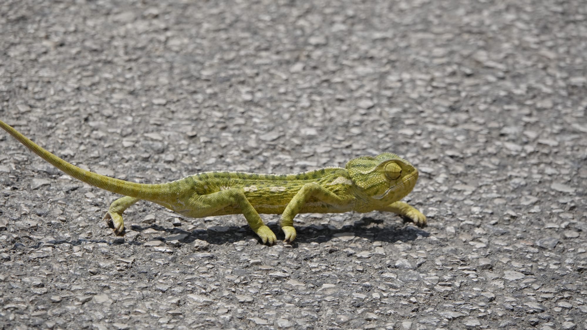 Woensdag 4 juni 2025