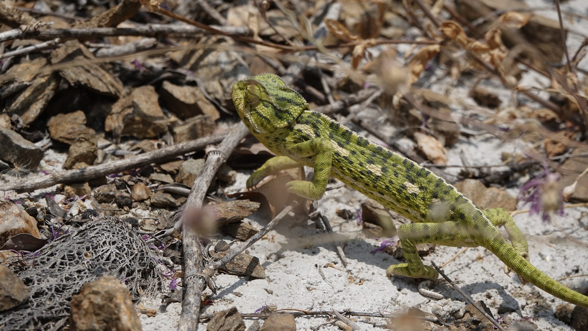 Woensdag 4 juni 2025