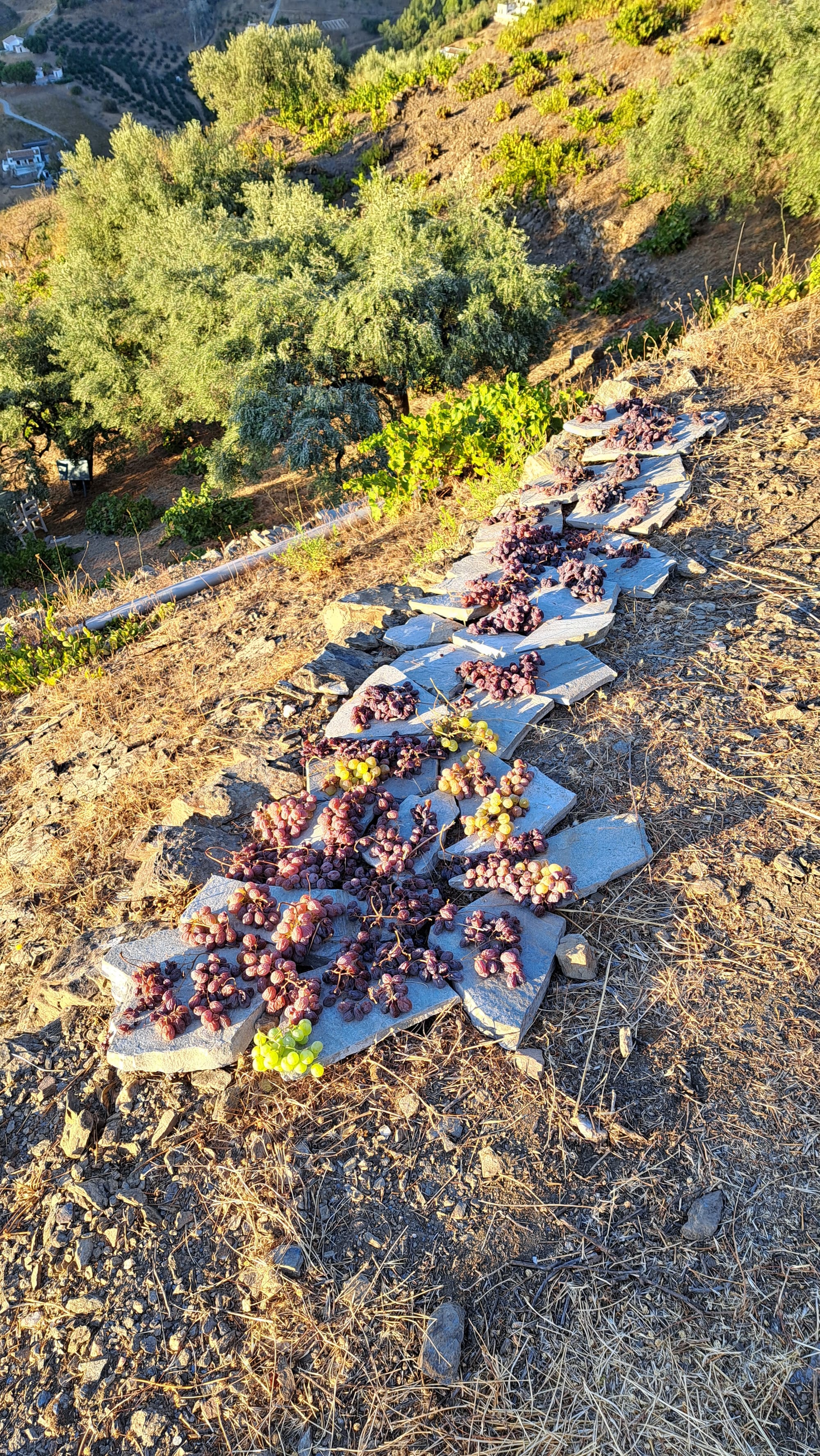 Dinsdag 16 september