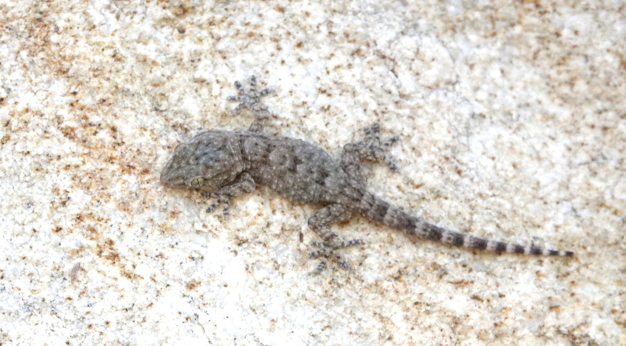 Vrijdag 19 september