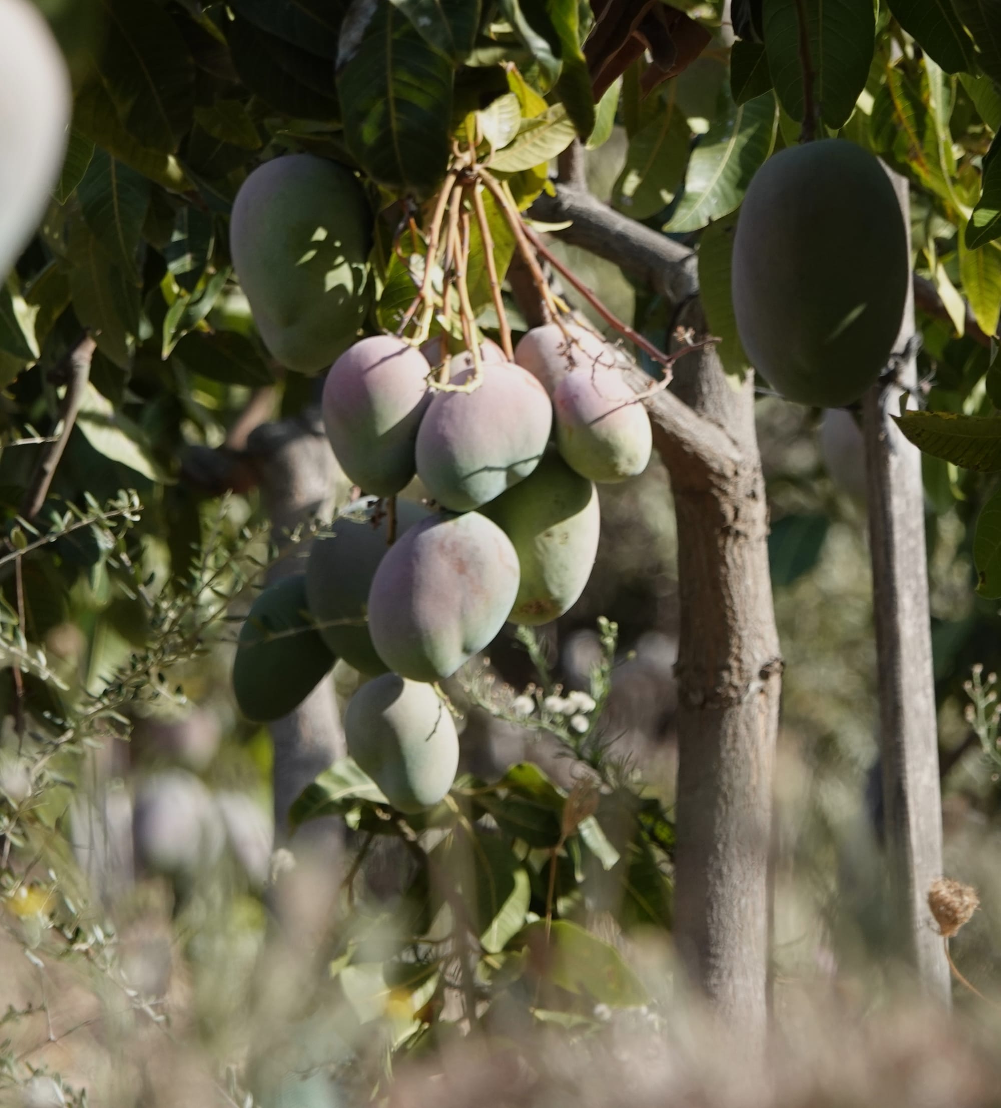 Vrijdag 19 september