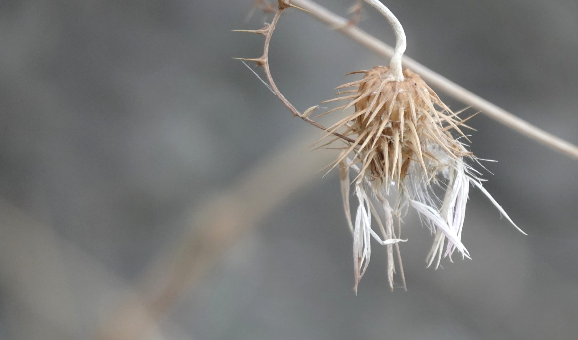 Vrijdag 19 september