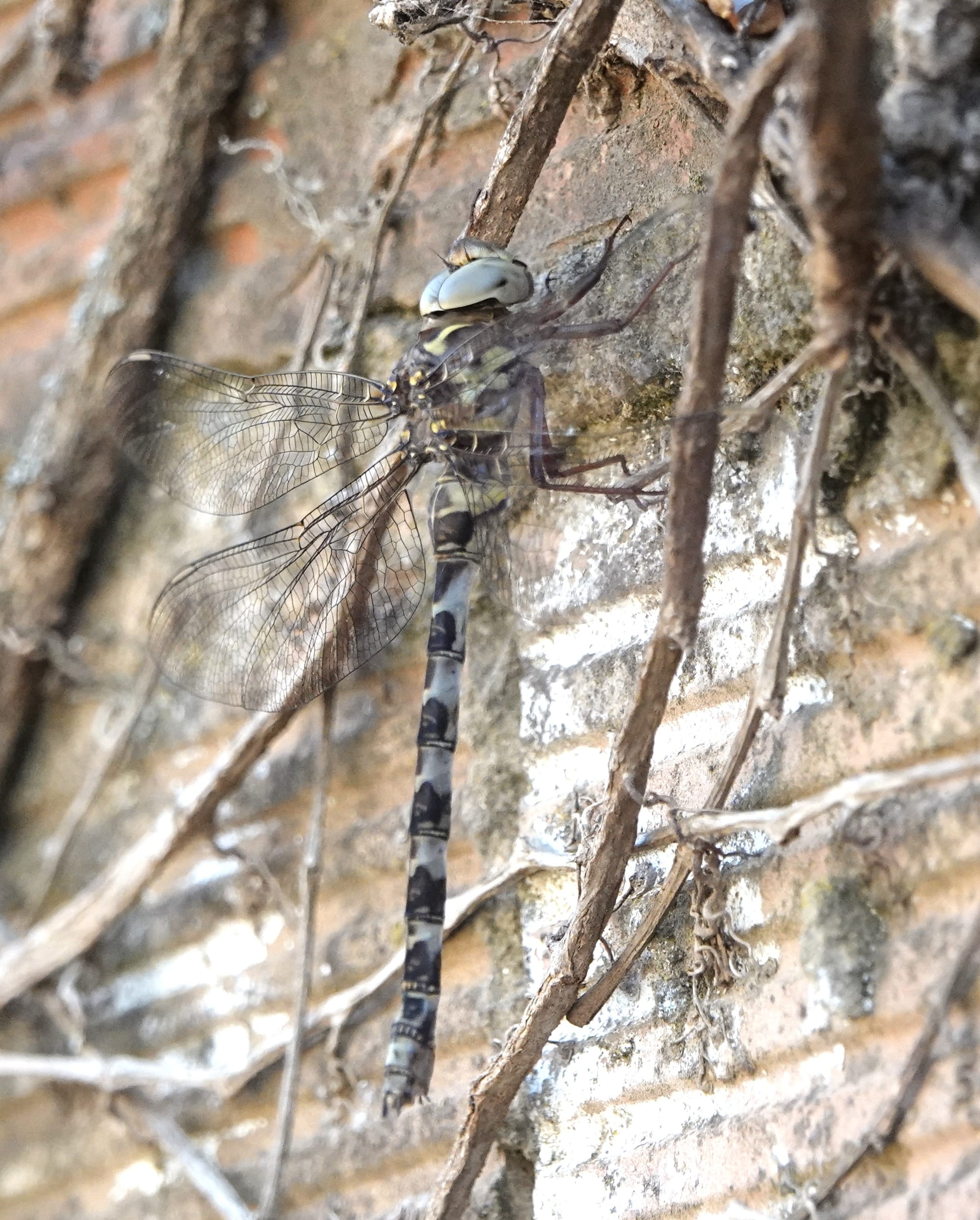 Vrijdag 19 september