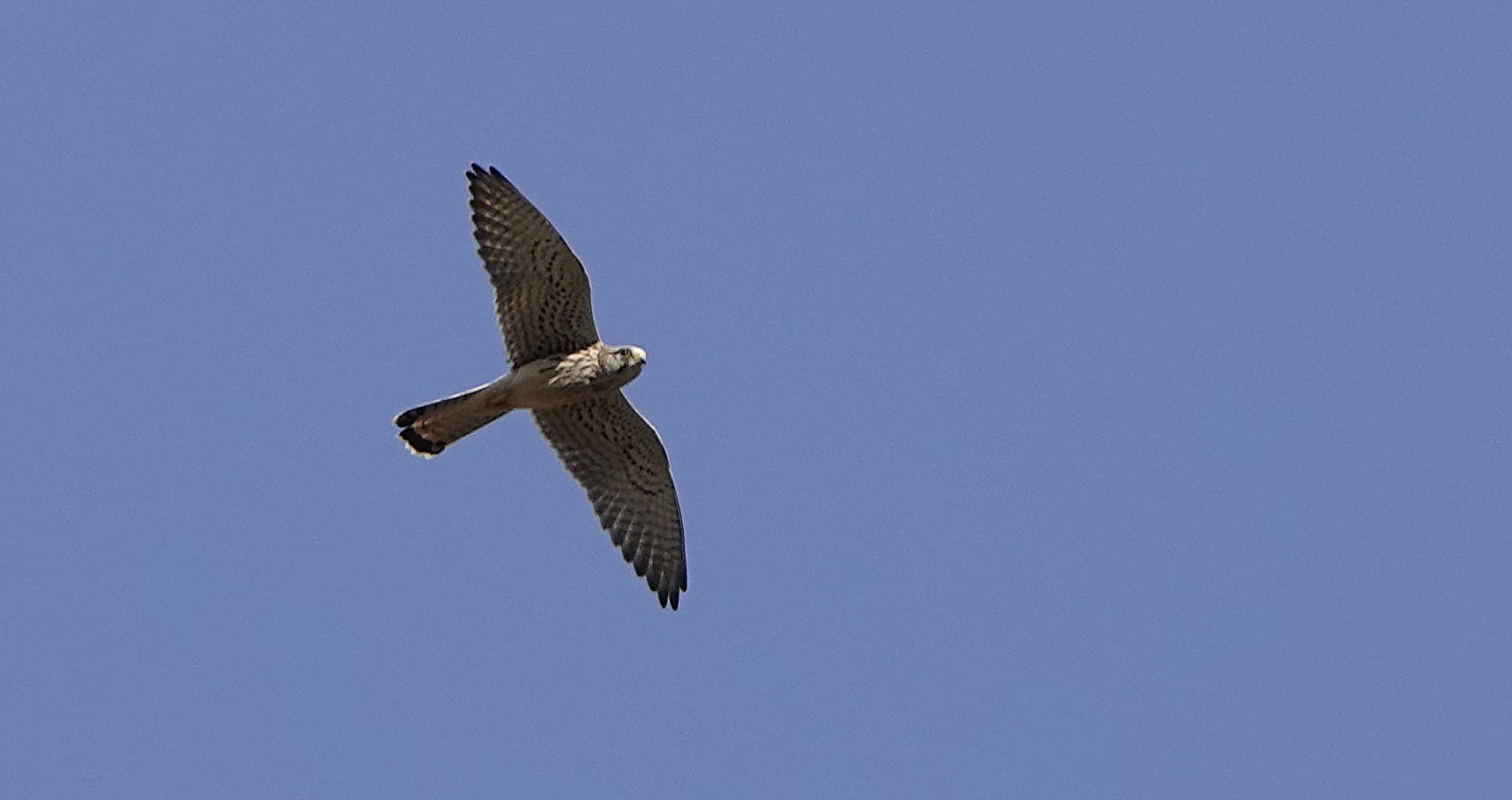 Vrijdag 19 september