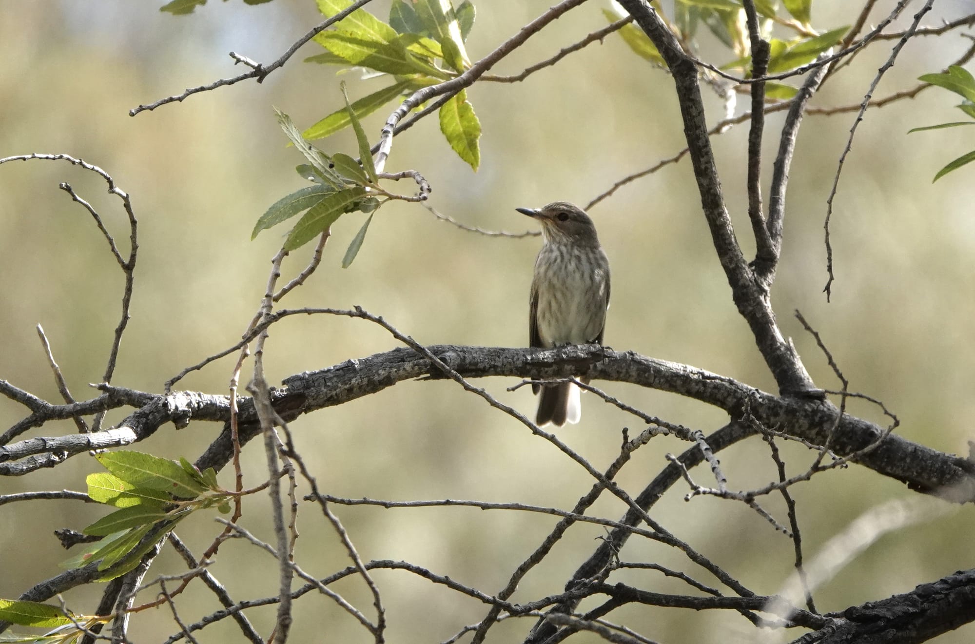 Vrijdag 19 september
