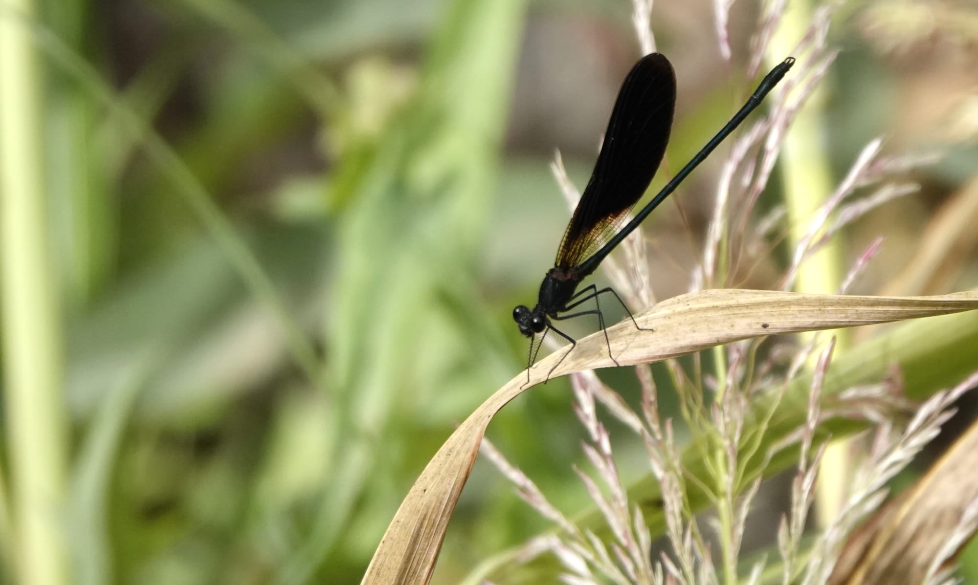 Vrijdag 19 september