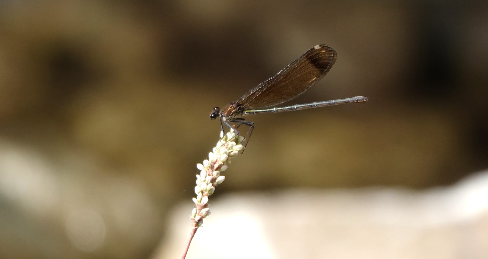 Vrijdag 19 september