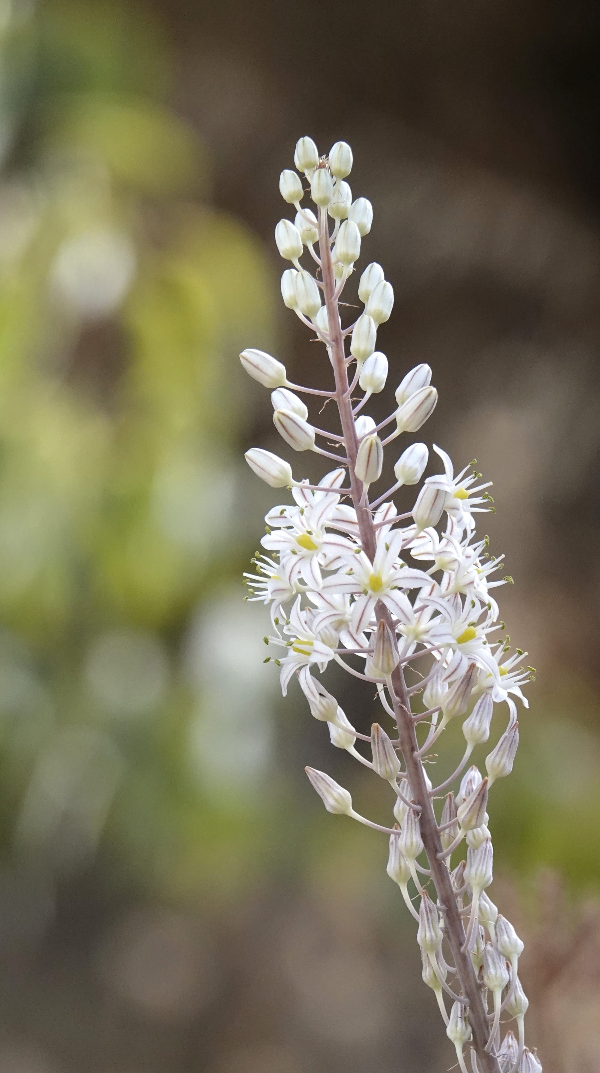 Vrijdag 19 september