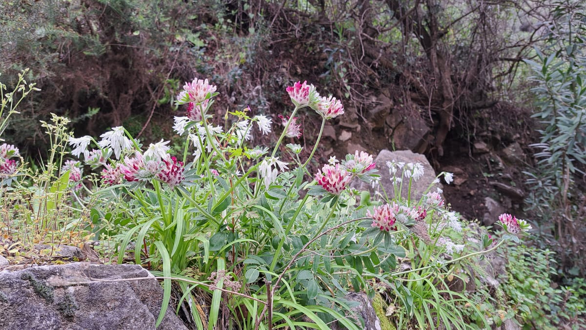 zaterdag 5 april 2025