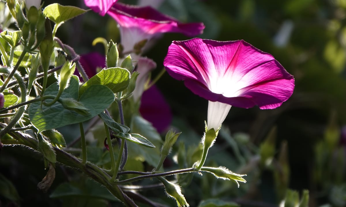 Vrijdag 19 september
