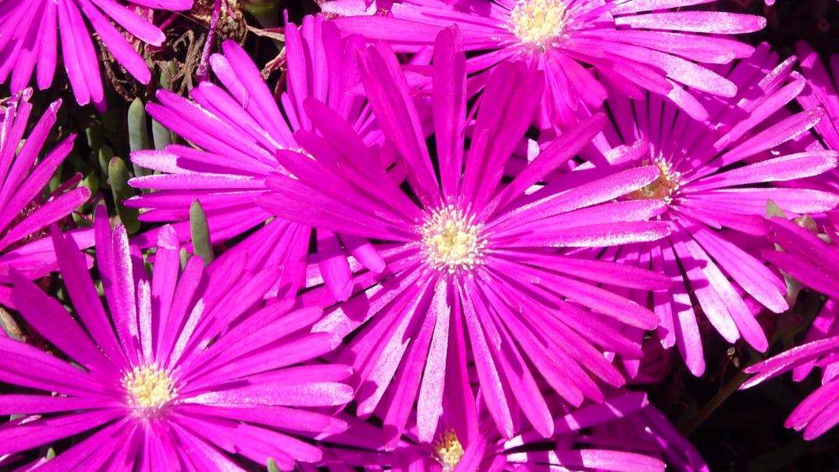 Woensdag 3 september