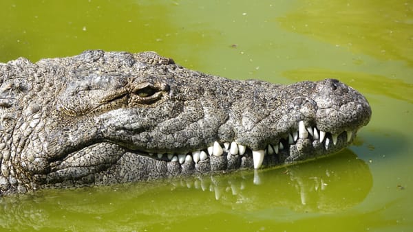 Woensdag 17 september